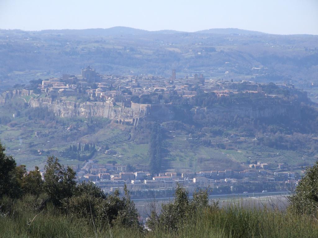 Agriturismo Fattoria Poggio Boalaio オルヴィエート エクステリア 写真