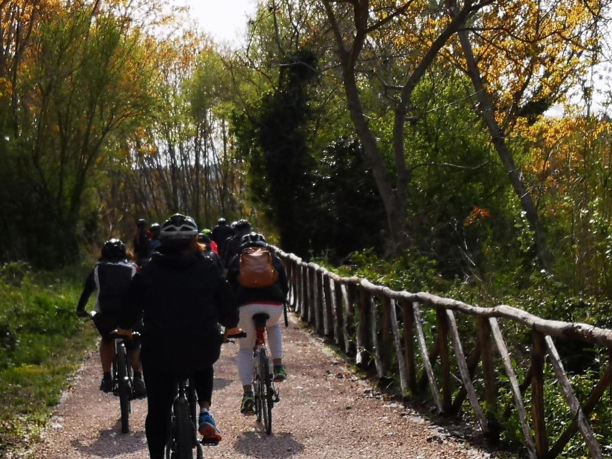 Agriturismo Fattoria Poggio Boalaio オルヴィエート エクステリア 写真